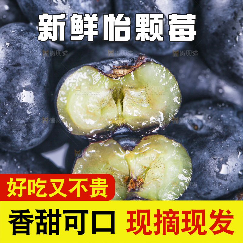 手里拿着蓝莓