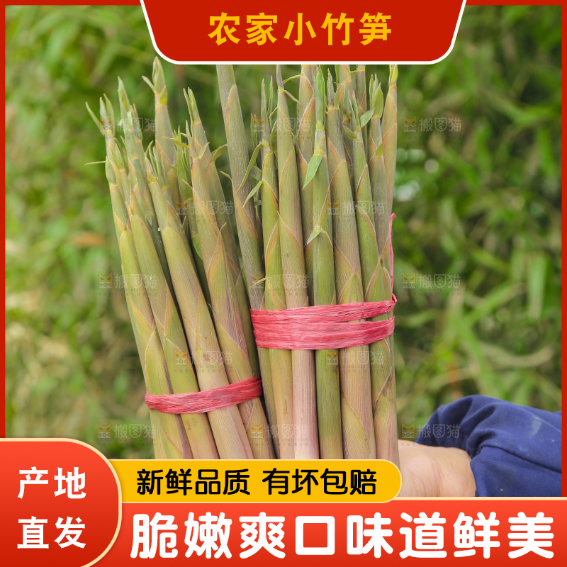 手里拿着小竹笋