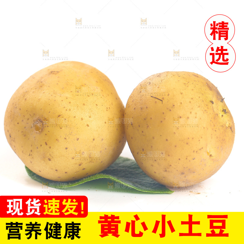 白底上的小土豆