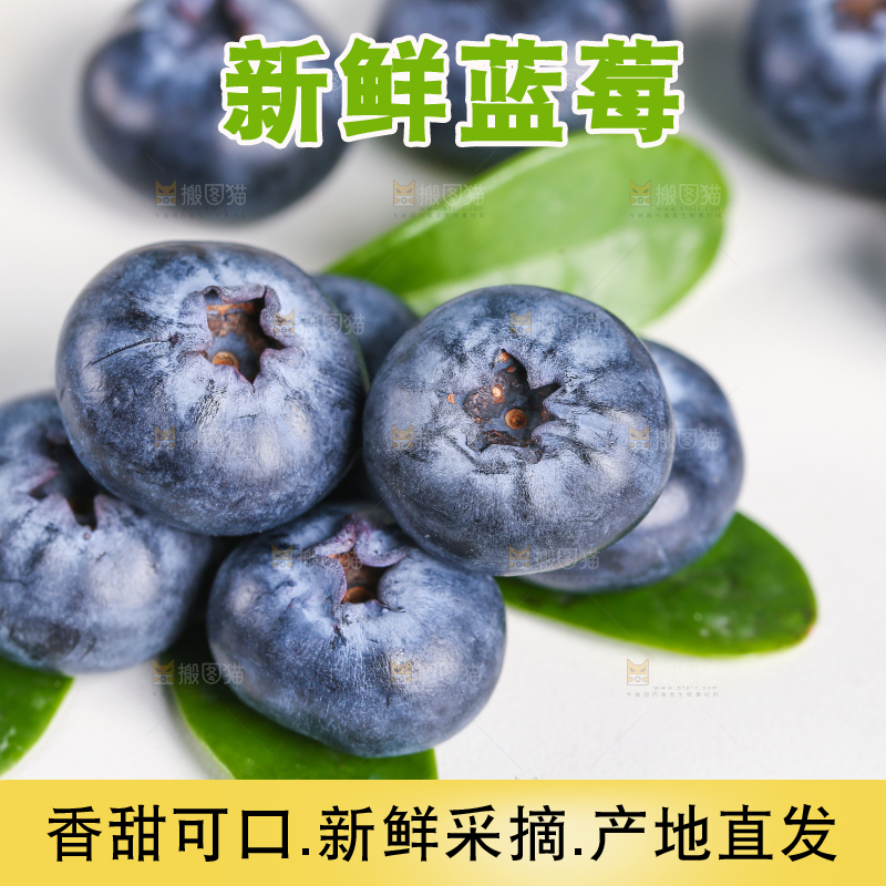 白底上的怡颗莓