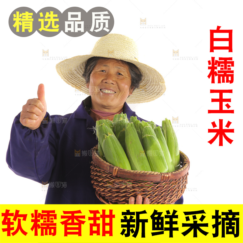 手里端着一篮白糯玉米