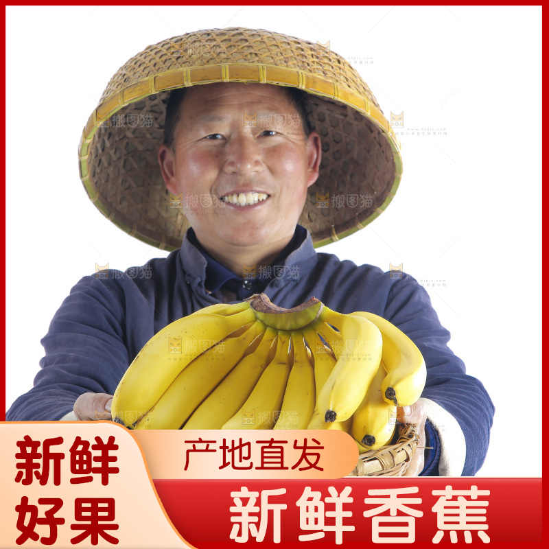农民手里端着一篮新鲜香蕉