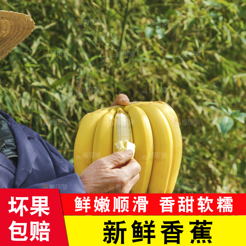 手里拿着香蕉