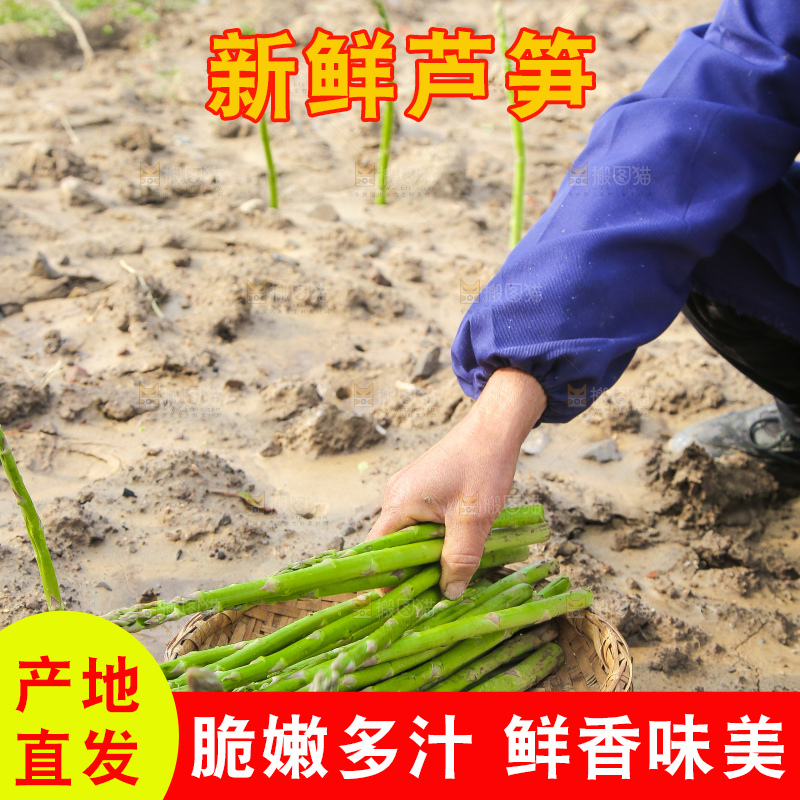 一篮新鲜芦笋