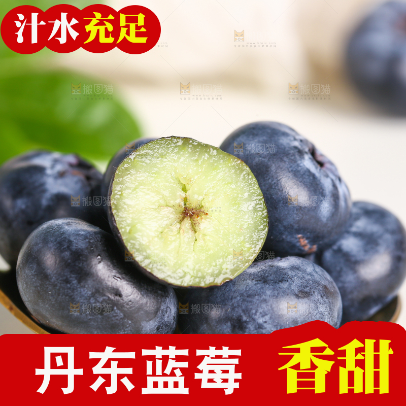 勺子上舀着云南蓝莓