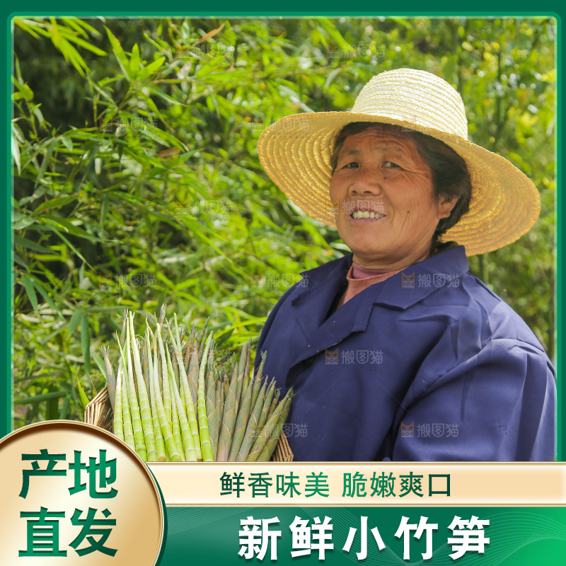 手里端着一篮小竹笋