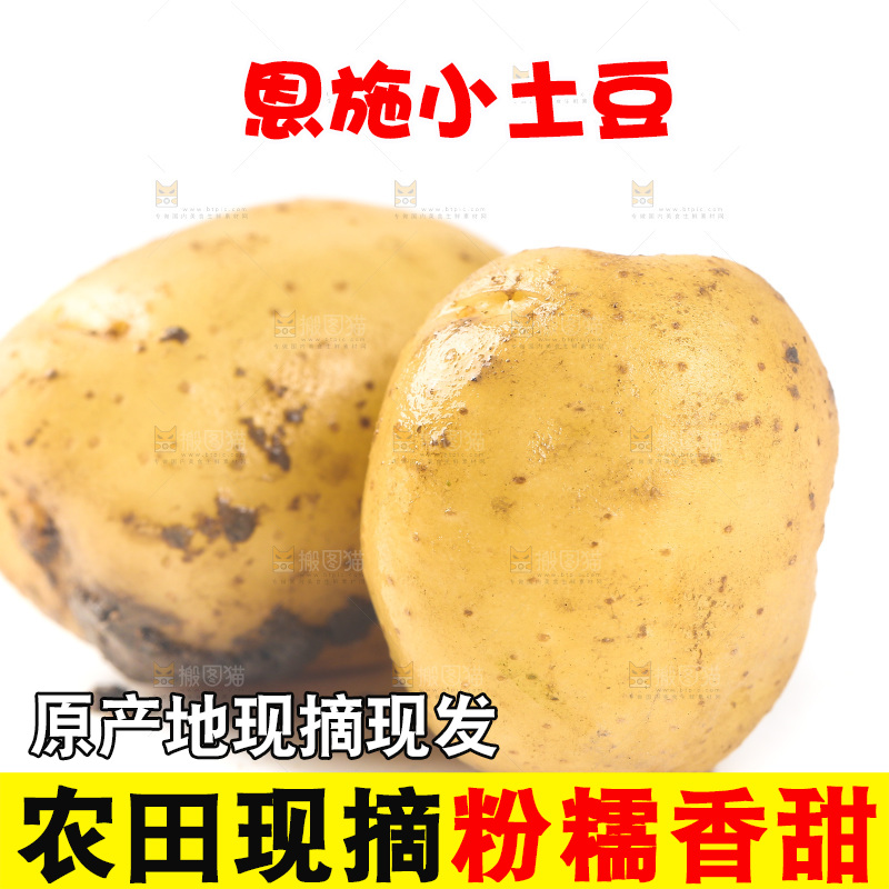白底上放着黄心小土豆