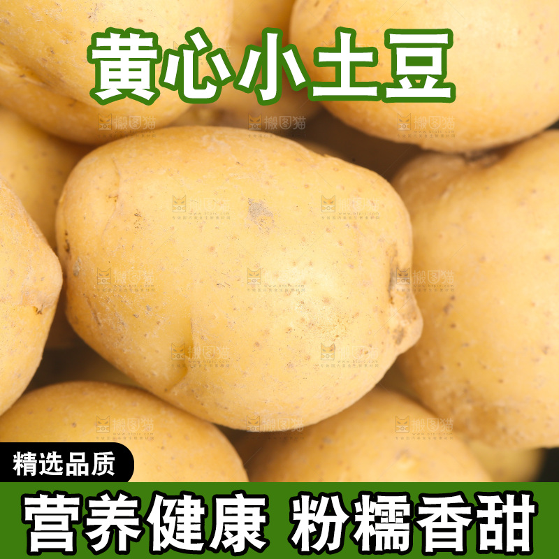 一堆小土豆