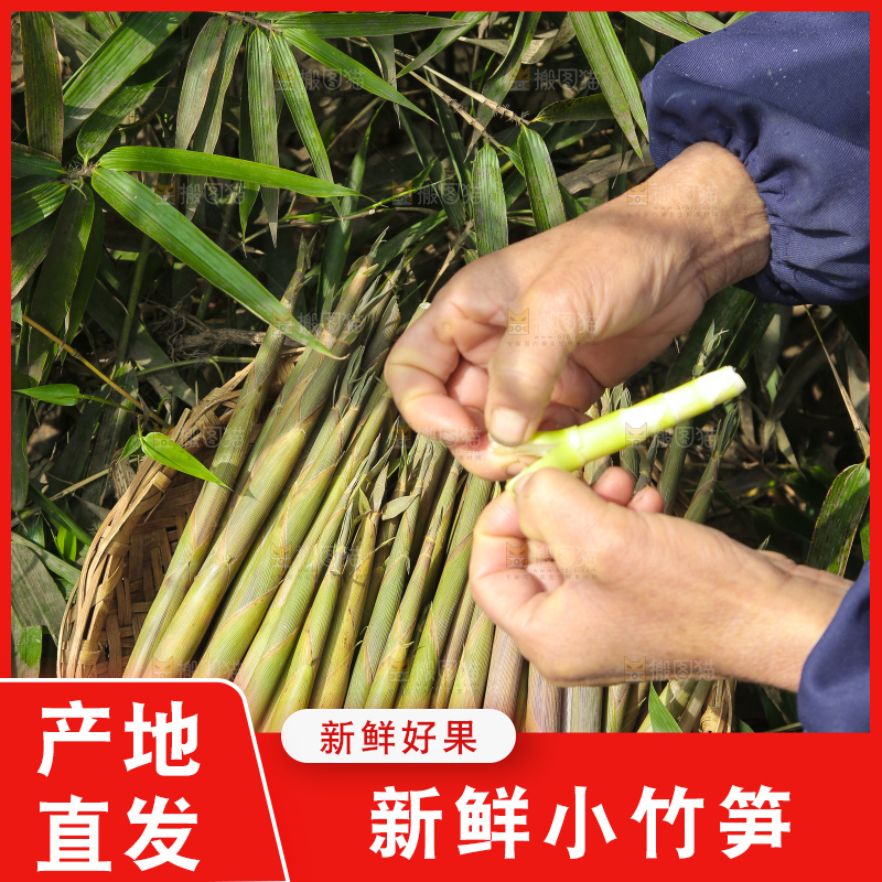 一篮野生小竹笋