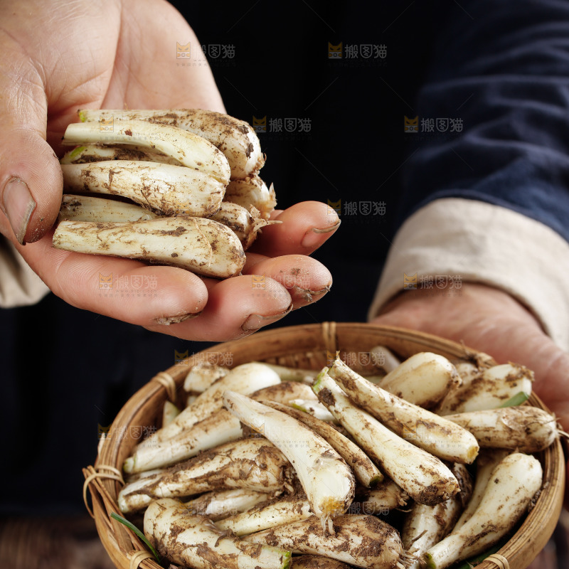 手里端着一篮无叶藠头