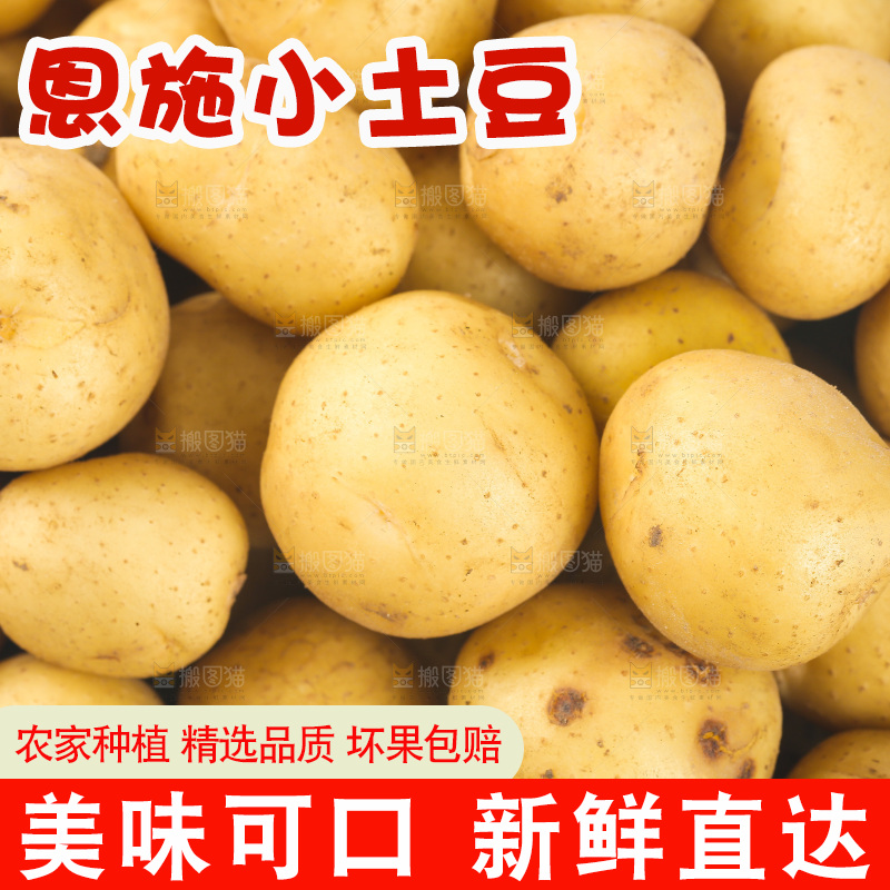 一篮小土豆