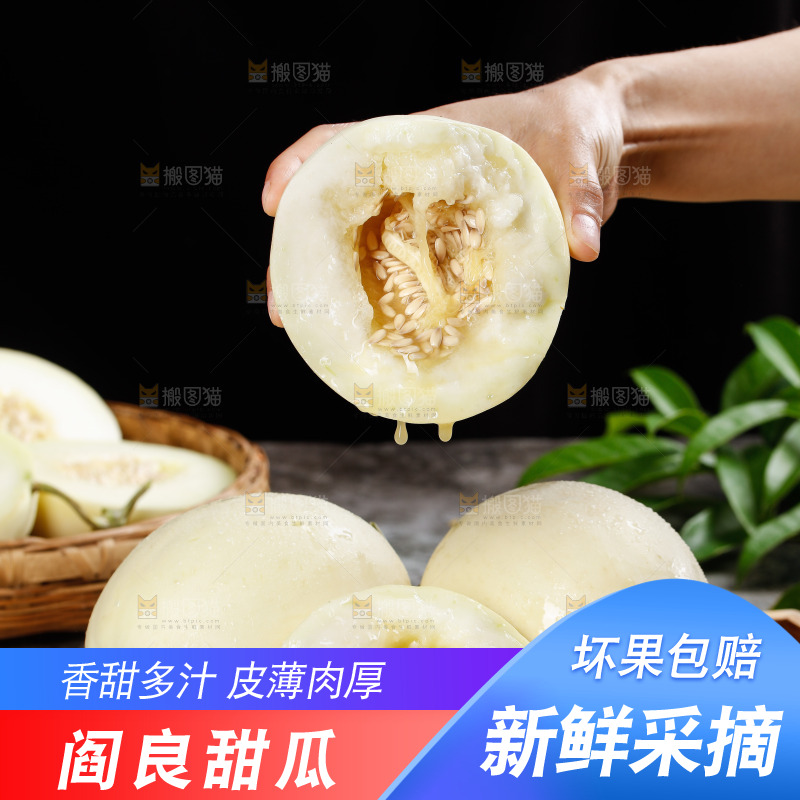 手里拿着阎良香瓜