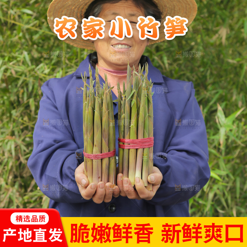 手里拿着小春笋