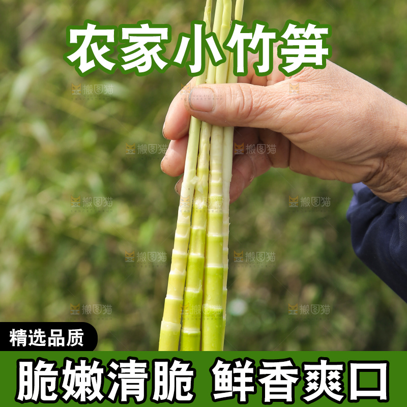 手里拿着小竹笋