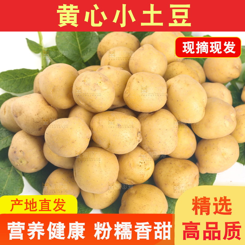 一堆小土豆