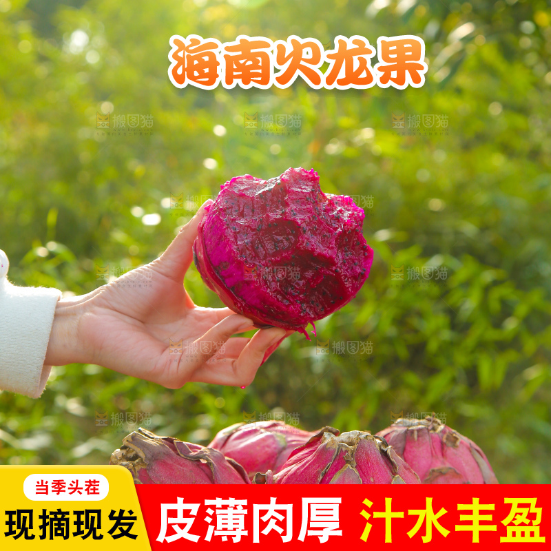 手里拿着咬过的红肉火龙果
