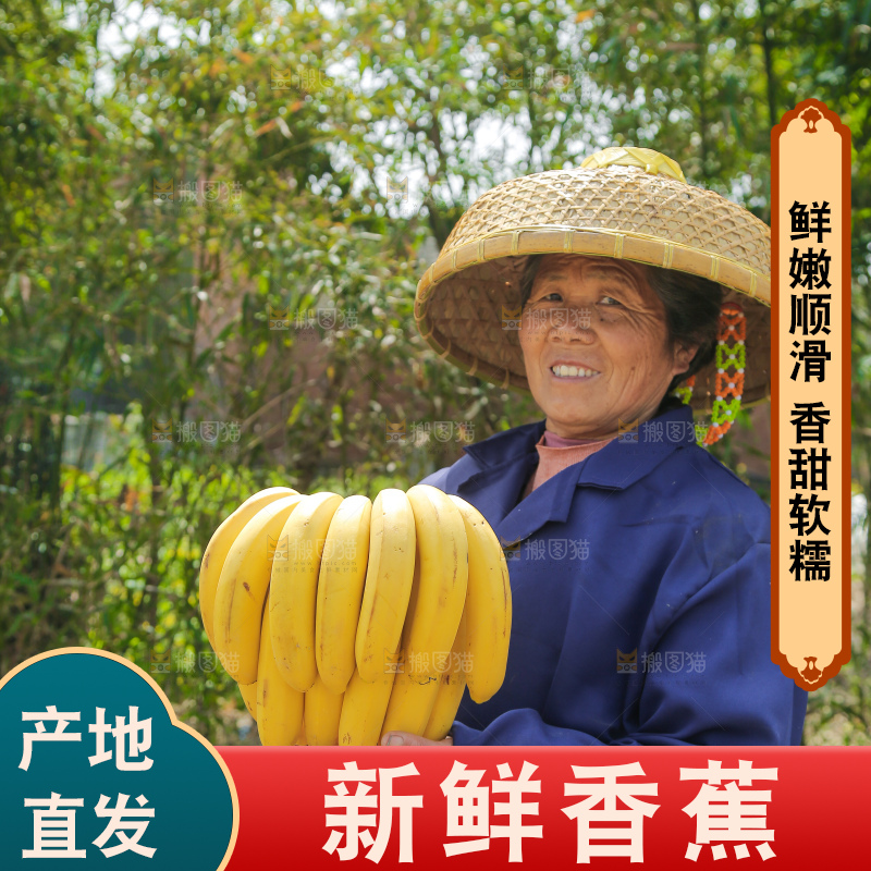 手里拿着一串黄皮香蕉