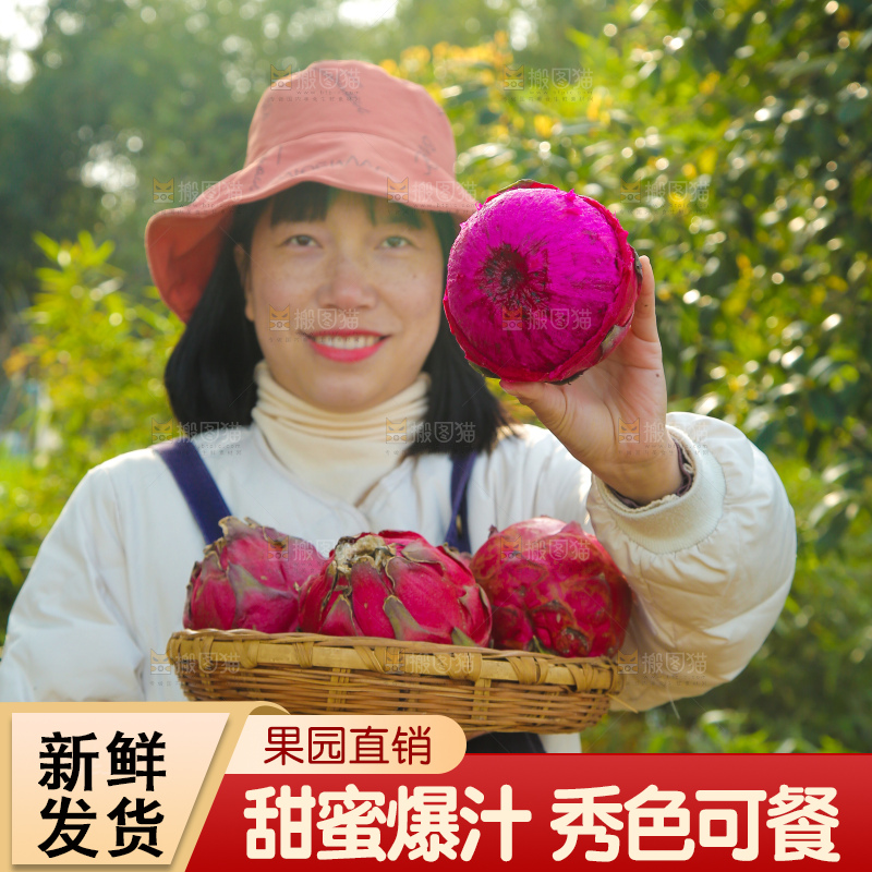 手里端着一篮红心火龙果