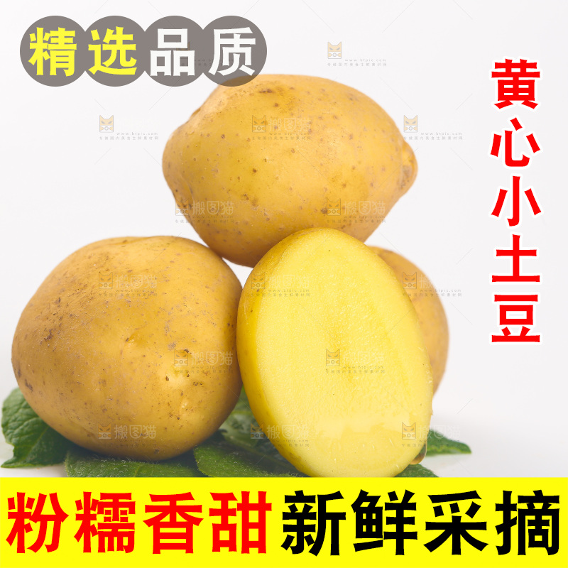 白底上的小土豆