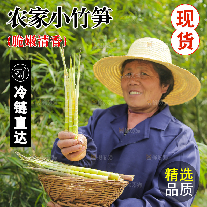 手里拿着去皮的小竹笋