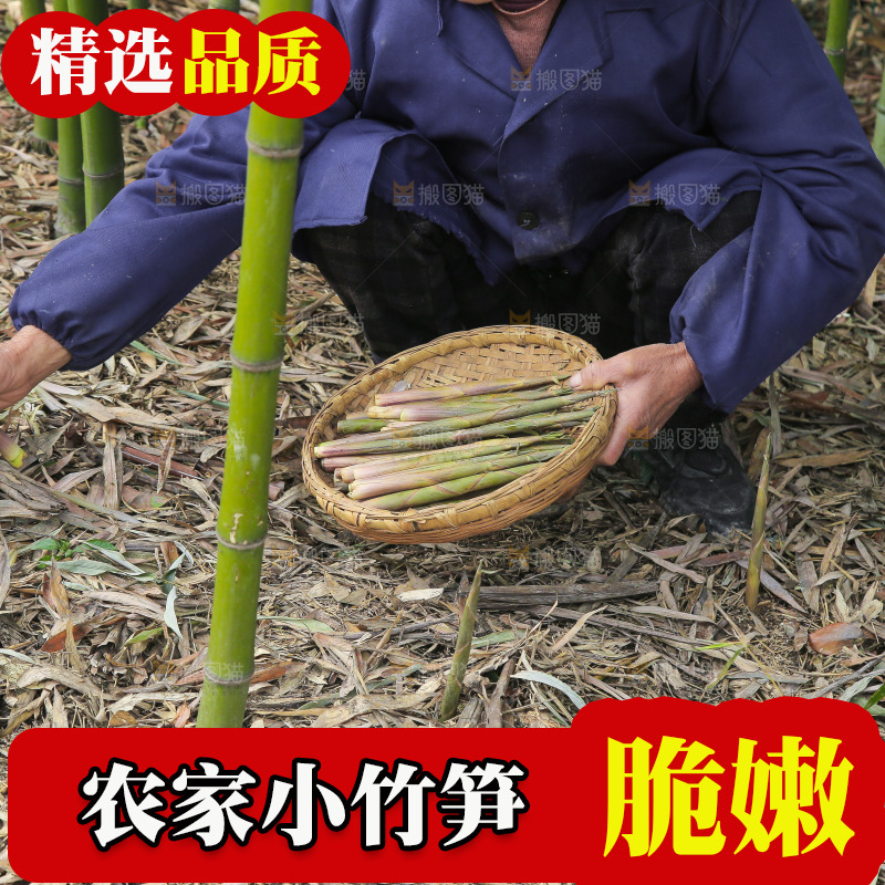 新鲜的小竹笋