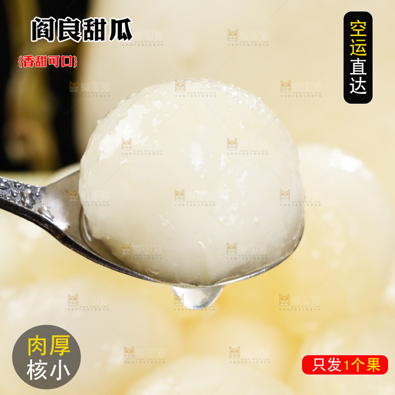 勺子上舀着阎良甜瓜果肉