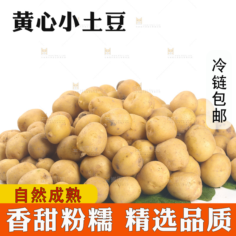 一堆小土豆