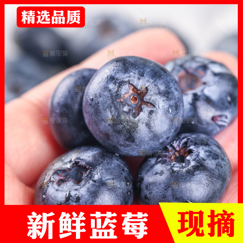 手里拿着蓝莓