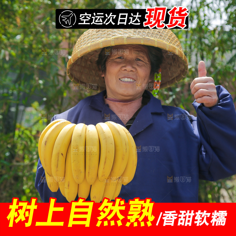 手里拿着一串黄皮香蕉