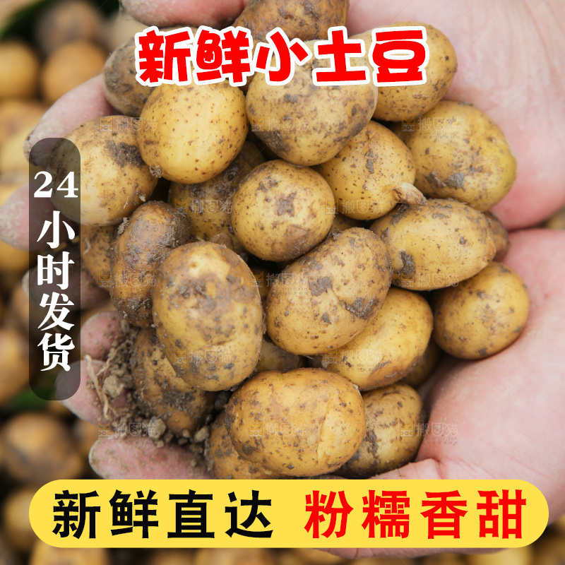 手里捧着小土豆