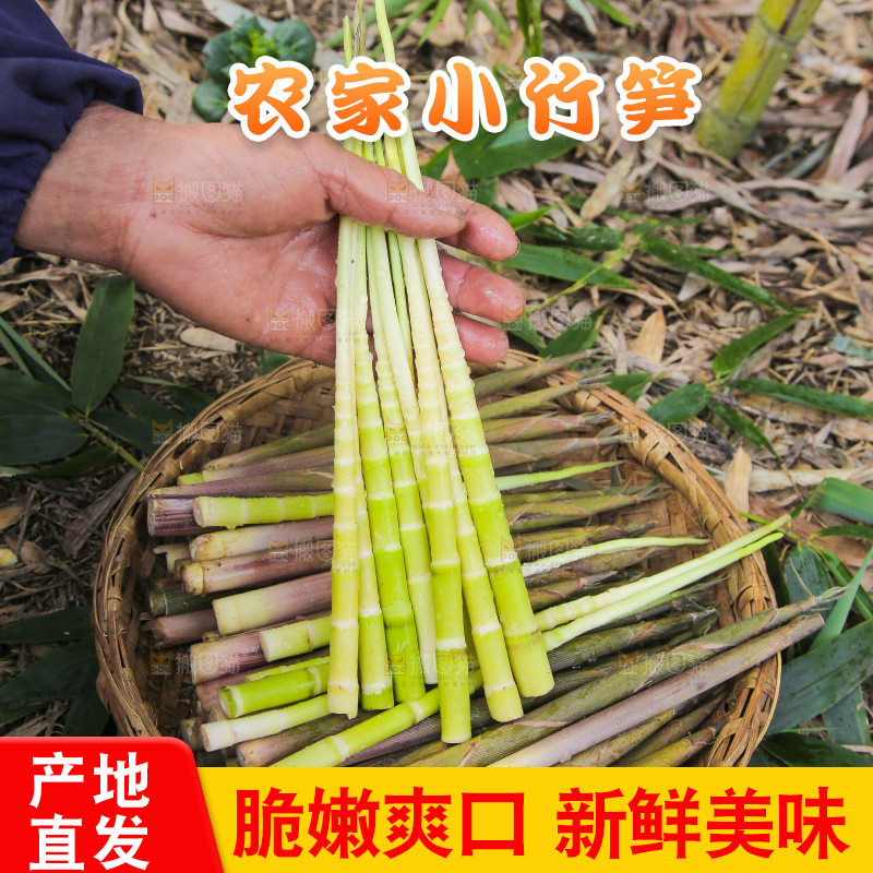 手里拿着小春笋