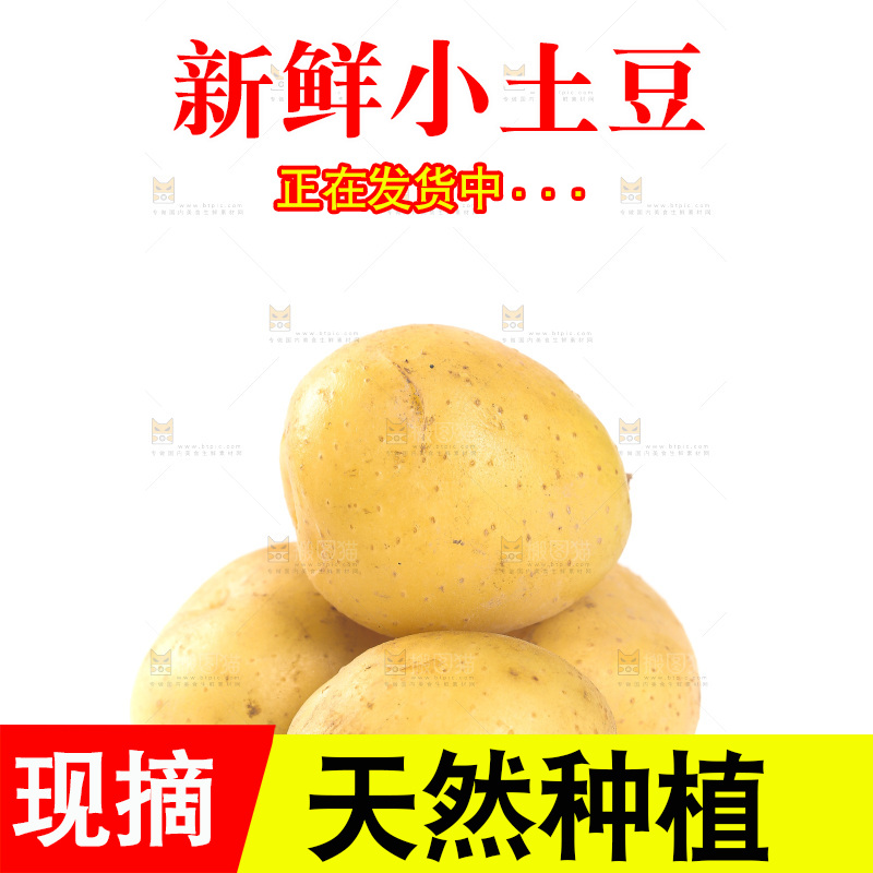 白底上的黄皮小土豆