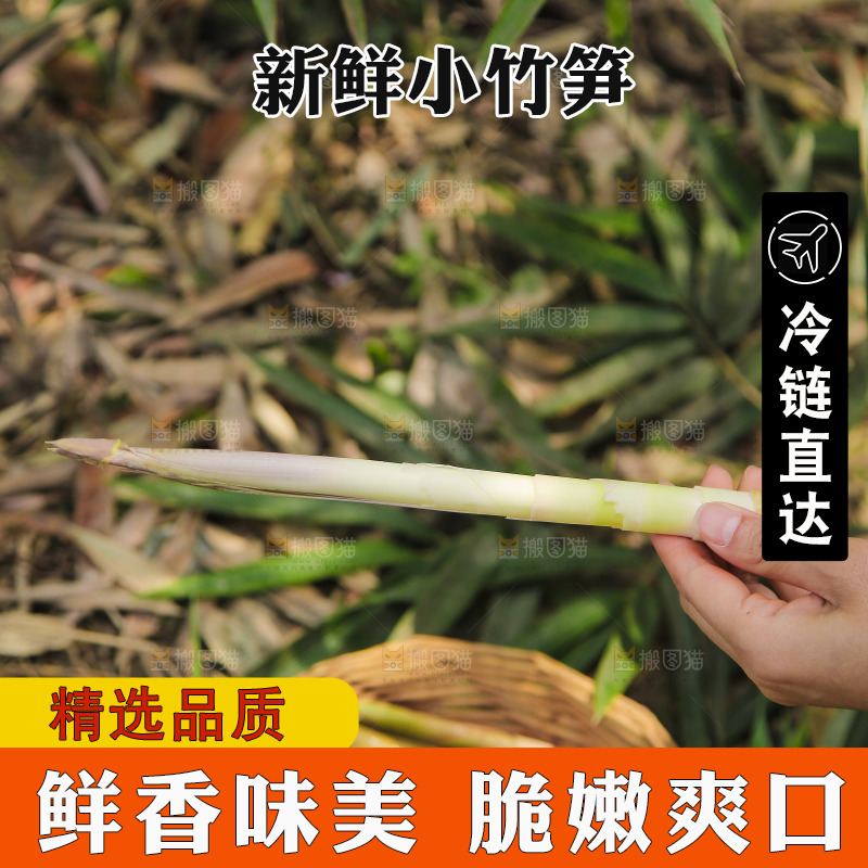 手里拿着小春笋