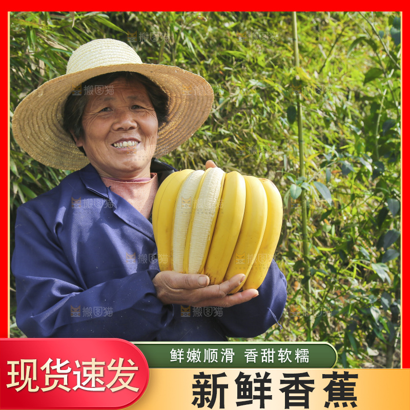 手里拿着香蕉