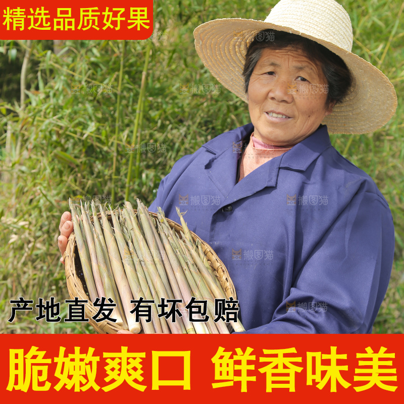 农民手里端着一篮小春笋