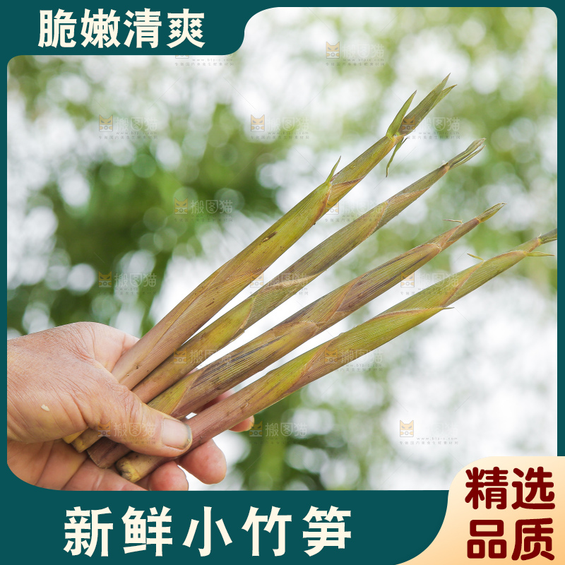 手里拿着小竹笋