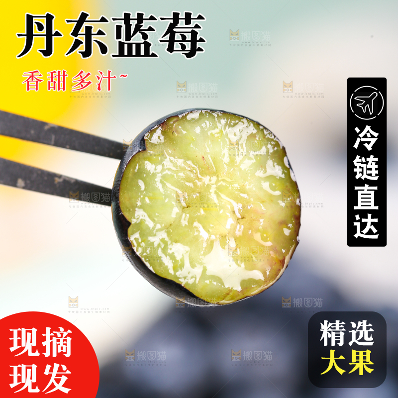 叉子上插着蓝莓
