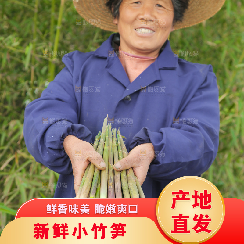 手里拿着小春笋