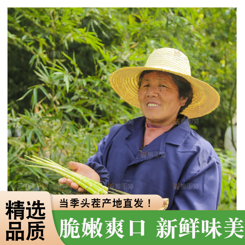 手里端着一篮小竹笋