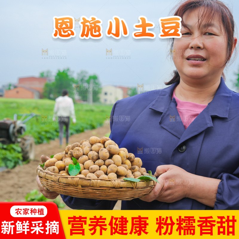 手里端着一篮迷你小土豆