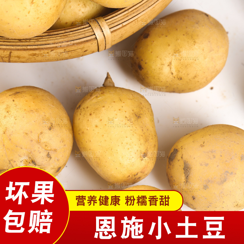白底上的黄皮小土豆