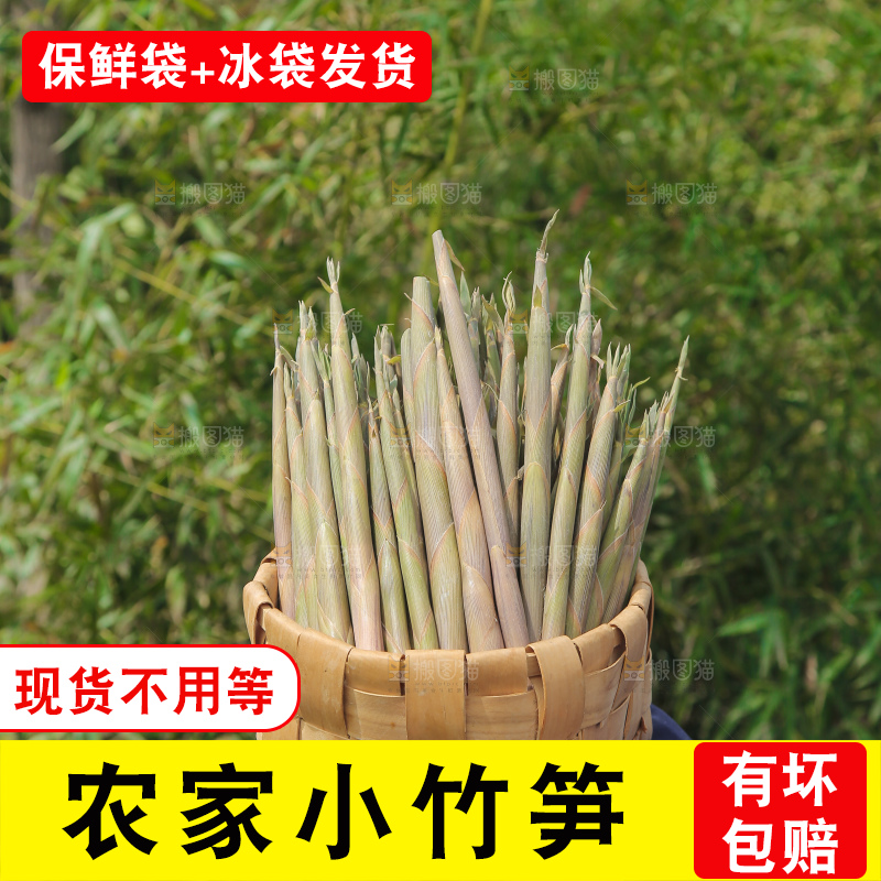 手里端着一篮小竹笋