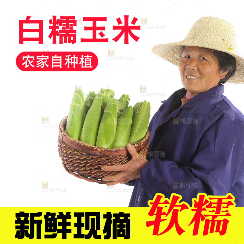 手里端着一篮白糯玉米