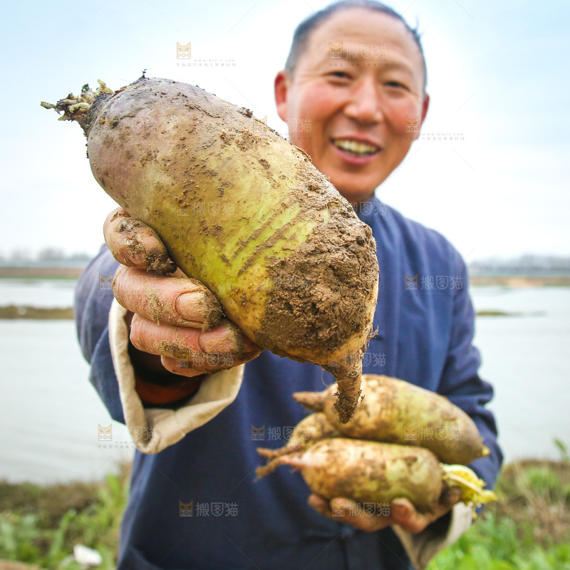 农民手里拿着冰淇林萝卜