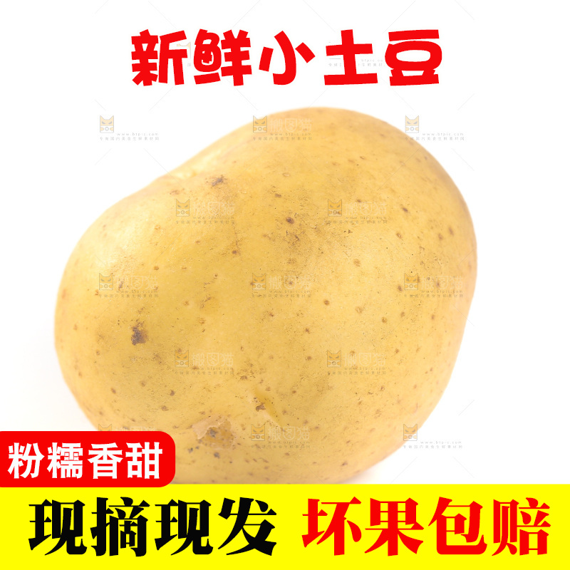 白底上的黄皮小土豆