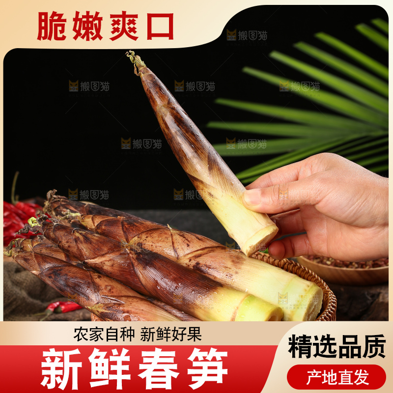 手里端着一篮春笋
