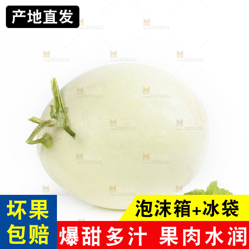 白底上放着阎良甜瓜