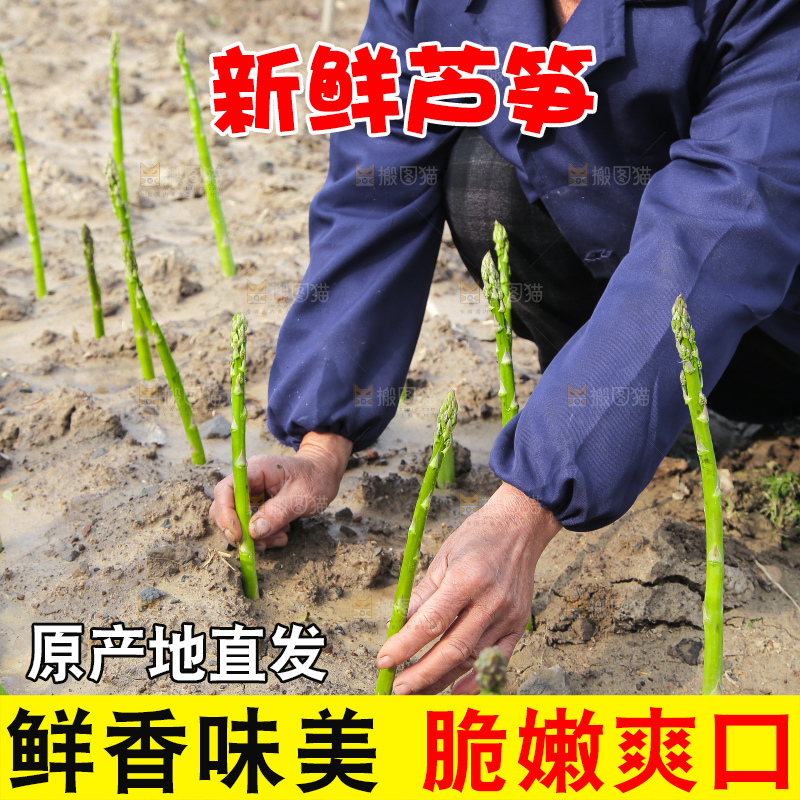 新鲜的青芦笋