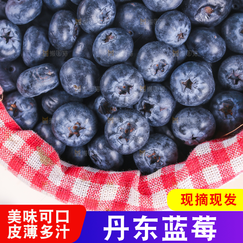 一篓新鲜蓝莓