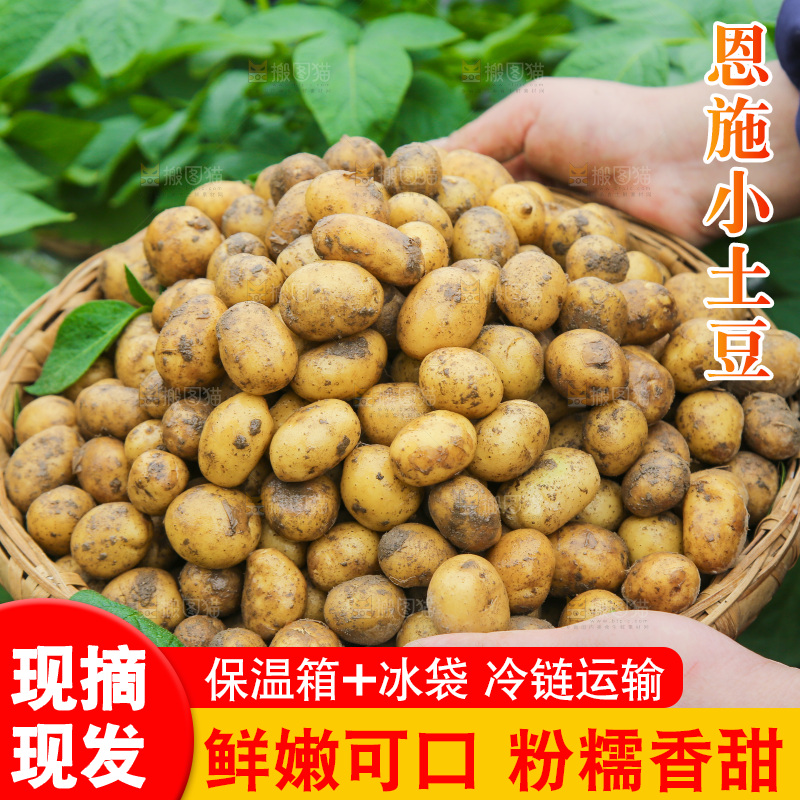 手里端着一篮迷你小土豆